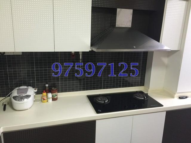 Blk 543 Jelapang Road (Bukit Panjang), HDB Executive #104807222